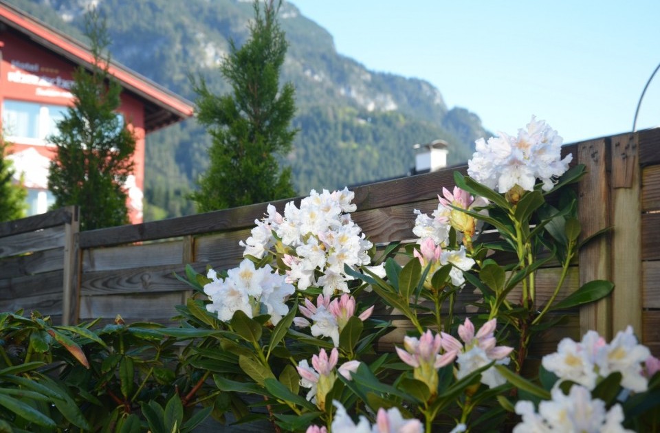 Hotel Rhododendren